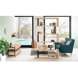 艾爾莎4尺展示櫃